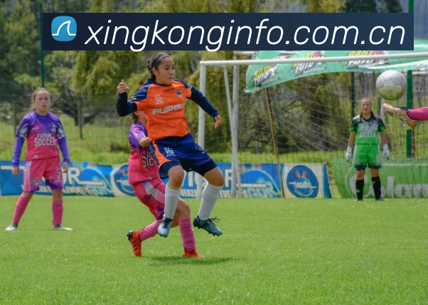 星空体育APP 封面图